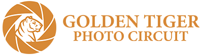 Golden Tiger Photo Circuit