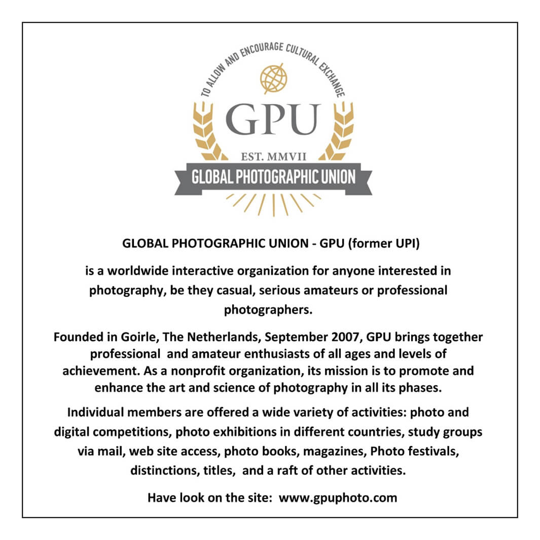 Golden Tiger Photo Circuit